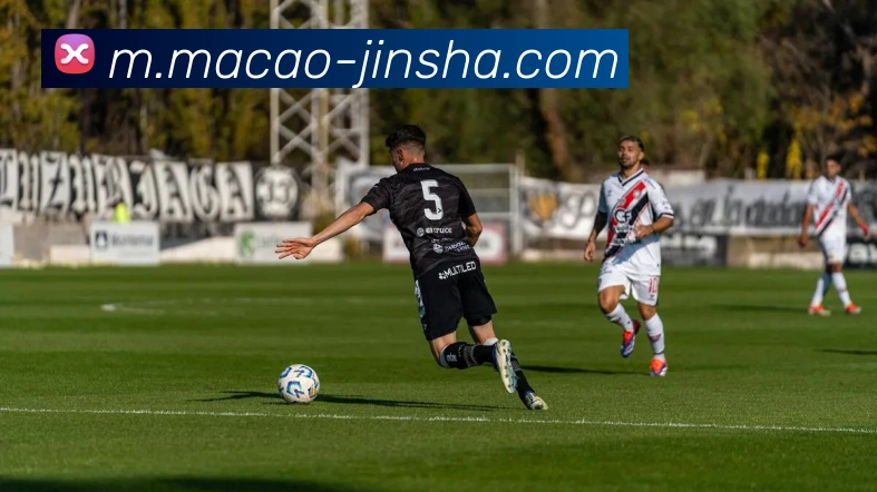 澳门金沙官网平台生态图