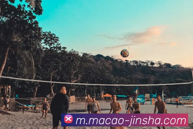 澳门金沙官网全站App 澳门金沙官网全站App