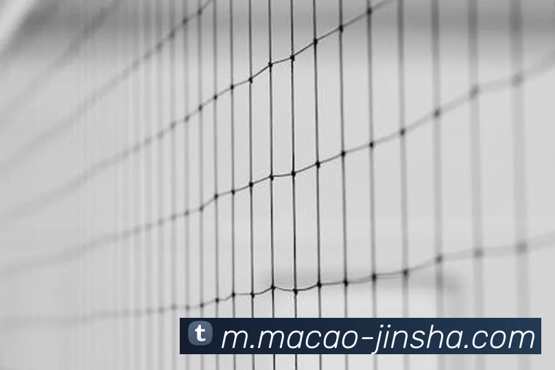 辅助工具 辅助工具